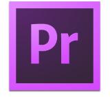 Adobe Premiere Pro for teams 1 user 1 year
