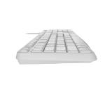 Natec Keyboard Nautilus US Layout White