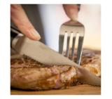 Tefal K232S414 Ingenio Ice Force sst. Set of 4 steak knife11cm