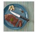 Tefal K232S414 Ingenio Ice Force sst. Set of 4 steak knife11cm