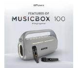 HiFuture MusicBox100 Silver, 20W Output, Karaoke Enable, Two Wireless Microphone, 4000mAh Battery (Support Power Bank), RGB Lighting, Pair to Play (TWS Mode), Bluetooth 5.3