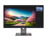 Lenovo ThinkVision P32UD-40 31.5" IPS, WLED, 3840x2160, 16:9, 120Hz, 4ms, 1500:1, 350 cd/m?, USB hub, HDMI, DP, Thunderbolt, RJ45, Tilt, Swivel, Pivot, Height Adjust Stand