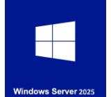 Lenovo Windows Server 2025 Remote Desktop Services Client Access License (50 User)